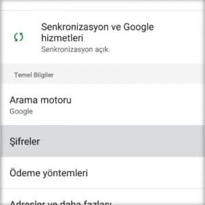 google chrome sifreler menu ayarlar
